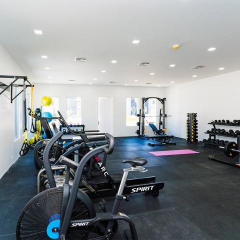This image depicts a well-equipped modern gym