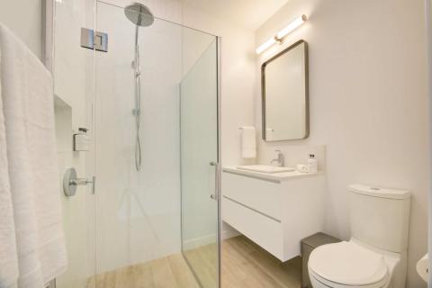 Clean minimalistic bathroom with vanity and shower