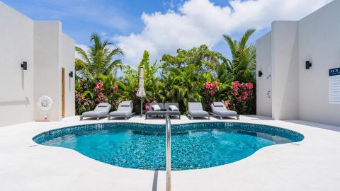 Serene Luxury: Outdoor Swimming Pool with Tropical Ambiance