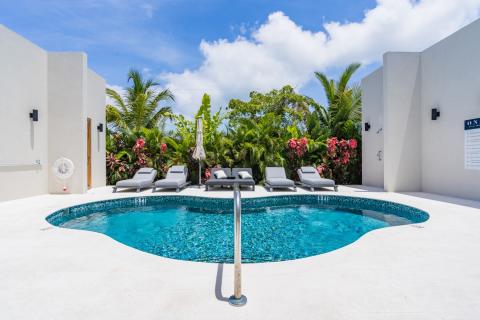 This image shows a tropical outdoor pool area