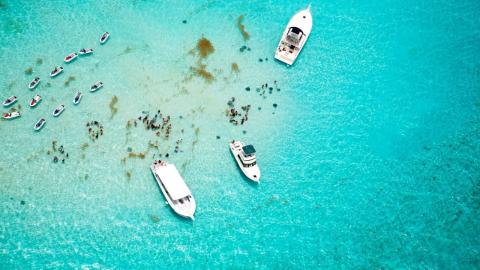 Aerial of Stingray city