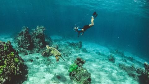 Diving-with-turtle