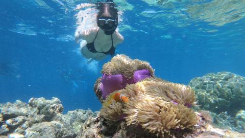 Snorkelling