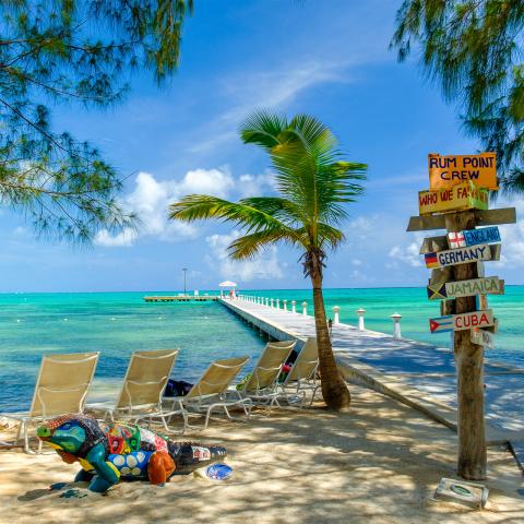 This image features a picturesque beach setting