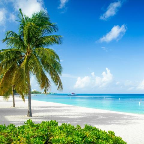 This image features a picturesque tropical beach scene