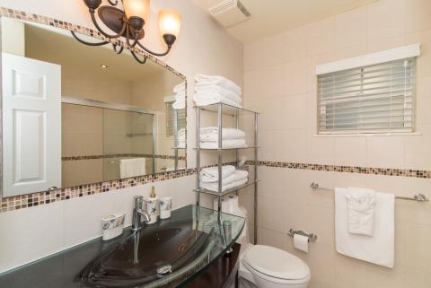 Neatly arranged clean bathroom space  