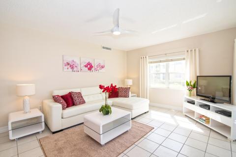 Bright organized living room sofa