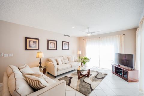 Neatly arranged cozy living room