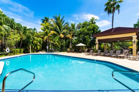 Tropical swimming pool with loungers  