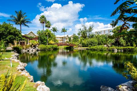 Calm water lush greenery resort
