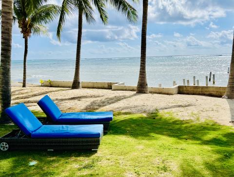 Serene beach with sun loungers
