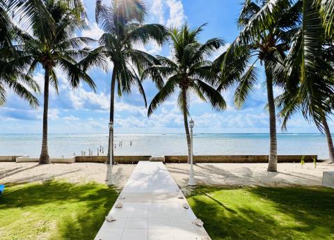 Serene tropical beach path