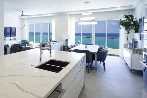4 - 401 Kitchen with View.jpeg