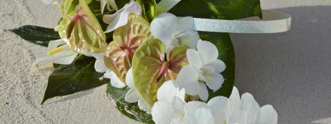 This image features an artistic arrangement of flowers and leaves on a sandy beach