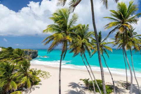 This image features a stunning tropical beach scene