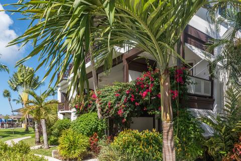 The image shows a beautiful tropical setting, featuring a two-story building adorned with vibrant, pink flowering plants and lush greenery
