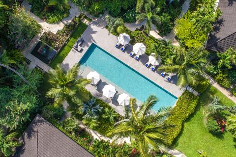 This image shows an aerial view of a luxurious swimming pool surrounded by a garden