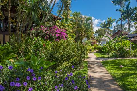 This image depicts a lush tropical garden pathway surrounded by a variety of vibrant plants and trees