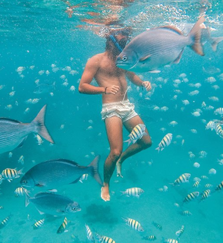 The image shows an underwater scene of a person swimming with various fish around them