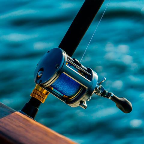 This image showcases a close-up of a fishing reel attached to a rod