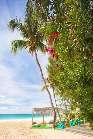 The image shows a picturesque tropical beach setting