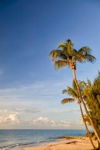 The image you provided shows a beautiful beach scene during what appears to be early morning or late afternoon, given the soft lighting