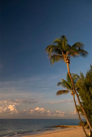 This image features a serene beach scene captured during a warm, possibly early evening light