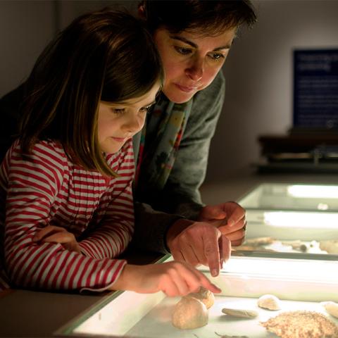 This image shows a young girl and an adult, presumably her mother, intently examining displays under a lighted glass case, likely in a museum or educational setting