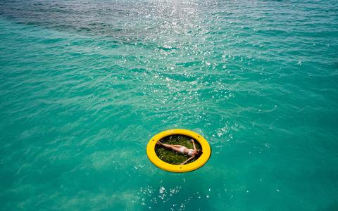 This image shows a person relaxing in a bright yellow circular float in the clear, turquoise waters
