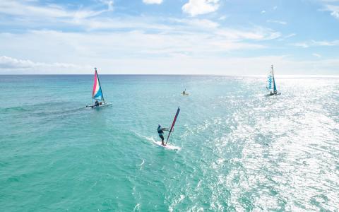 This image depicts a vibrant and sunny seaside scene