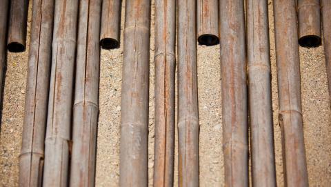 bamboo on sand