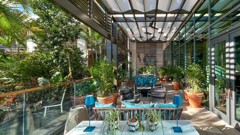 This image depicts a modern and elegantly designed indoor-outdoor space that combines natural and architectural elements