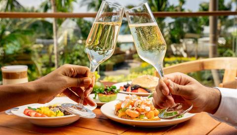 This image depicts a cheerful dining scene where two people are toasting with glasses of sparkling wine