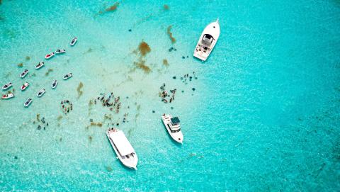 sting ray city in grand cayman