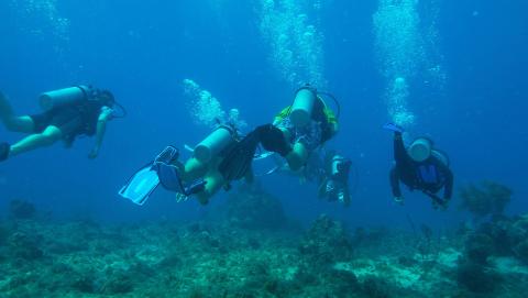 Seafire Guardians scuba diving to support the local coral reef in Grand Cayman.