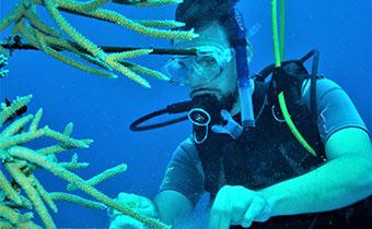 Scuba Diver