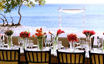seafire terrace