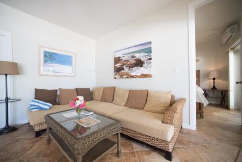 The image shows a bright and well-decorated living room