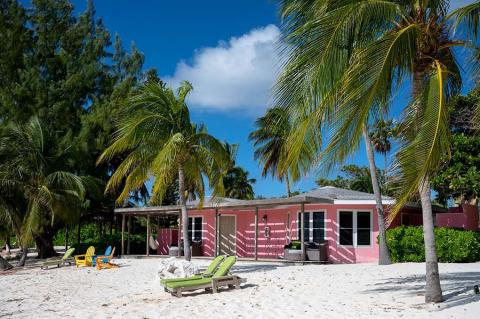 This image shows a tranquil beach setting with a small pink house nestled among mature palm trees