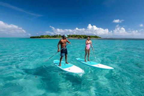 Paddle boarding to Owen Island with Southern Cross Club