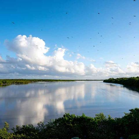 The image shows a serene waterscape likely of a river or a lake surrounded by lush greenery