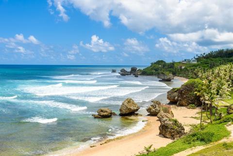 This image depicts a beautiful coastal scene with several natural elements