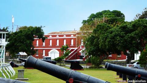 This image depicts an outdoor scene featuring multiple historical cannons set in a grassy area