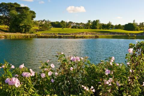 This image features a picturesque scene with a serene lake surrounded by lush greenery and interspersed with pink flowering shrubs in the foreground