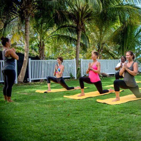 The image depicts a group of four people engaged in a yoga session outdoors