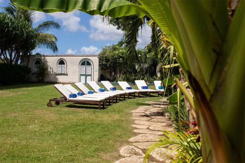 This image shows a tranquil outdoor relaxation area framed by lush greenery