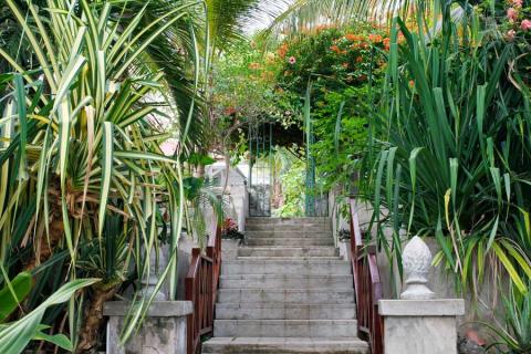 The image shows a lush garden pathway leading up a series of stone steps flanked by various tropical plants