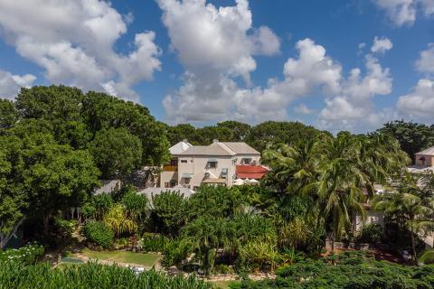This image captures a lush, tropical setting featuring a range of greenery and residential buildings