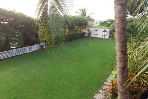 This image shows a lush garden setting at dusk