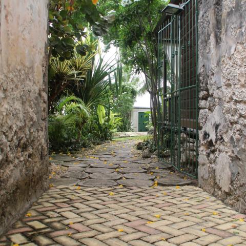 This image features a tranquil garden pathway